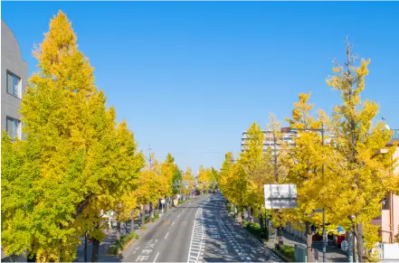 八王子周辺の景観と自然を楽しむコース