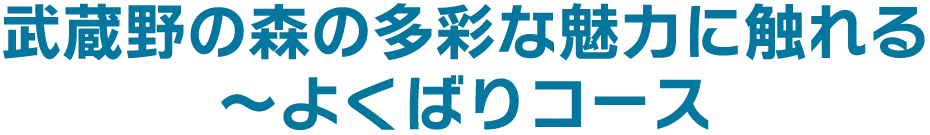 武蔵野の森の多彩な魅力に触れる 〜よくばりコース